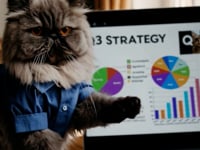 Which one's more your vibe??