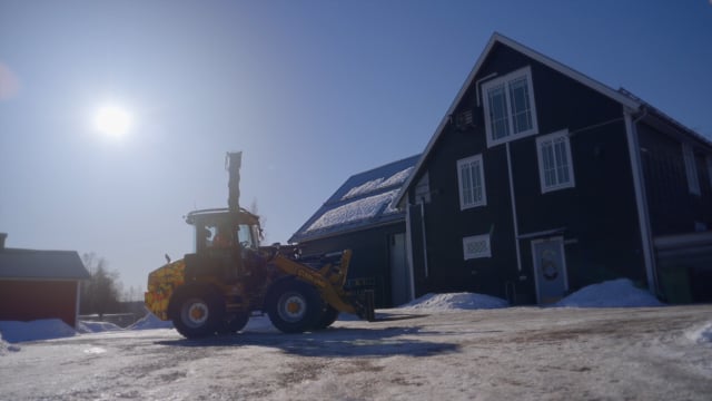 20240307 Cat 908 Sweden - a3