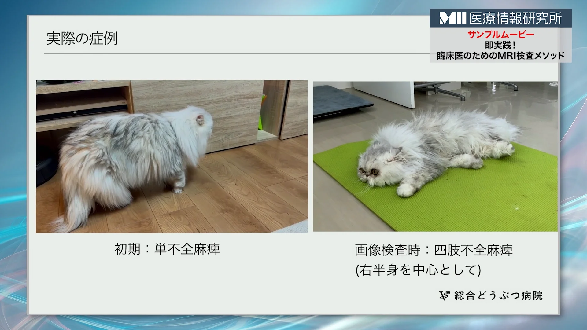 犬の臨床病理マニュアル 【公式通販】