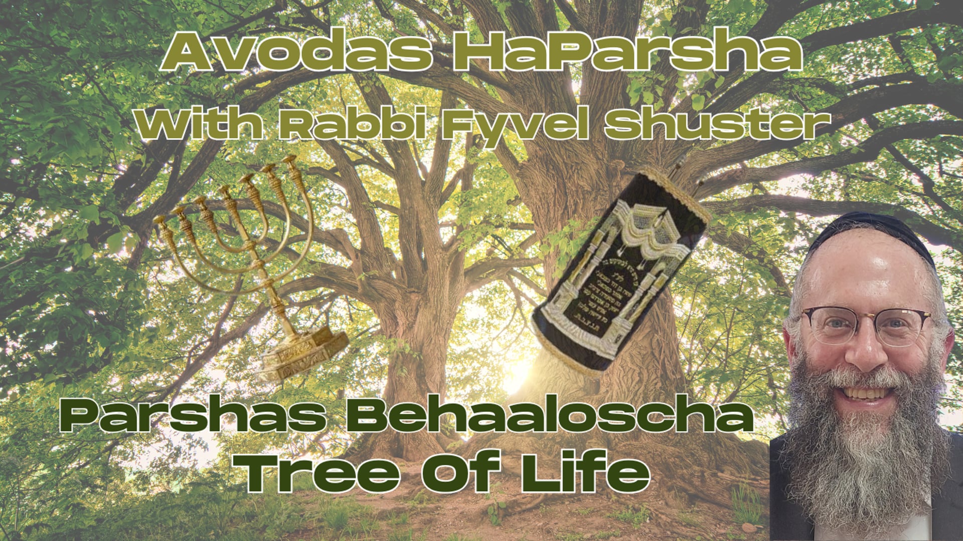 Tree Of Life - Avodas HaParsha Parshas Behaaloscha