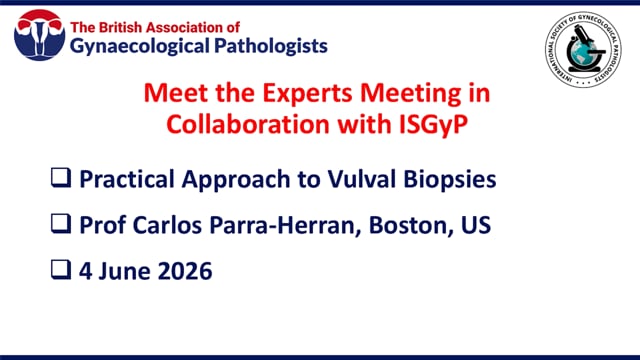 Practical approach to vulval biopsies, Prof Carlos Parra-Herran