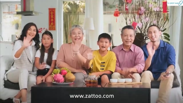 deVine Voices Native German Male Voiceover Zattoo Commercial