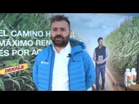 Bayer en SAT As Pandas con Lely