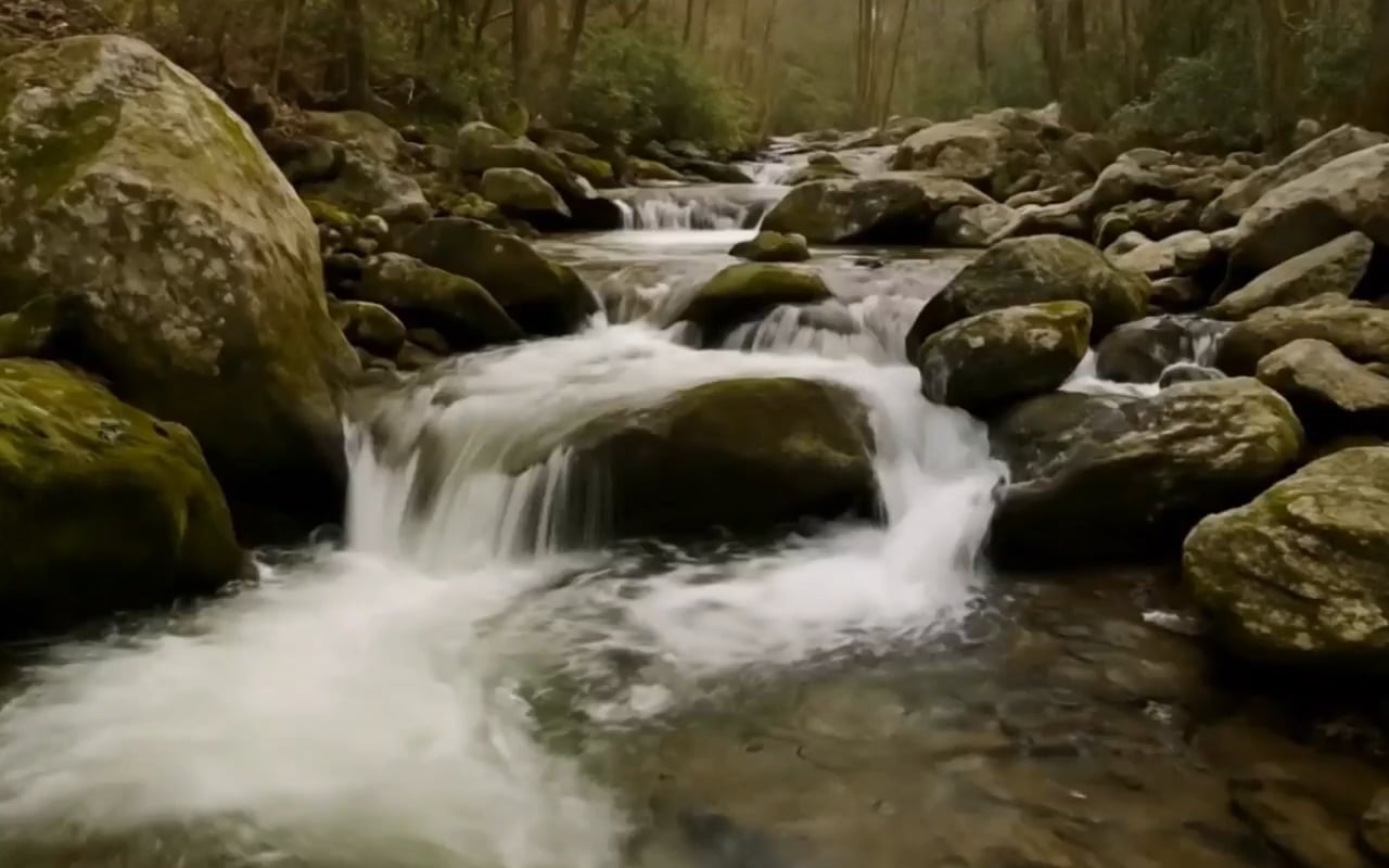 https://i.vimeocdn.com/video/2025511783-d5c617b6788a426edd90d4ff88f695de57a1018c04fb4f713dd08da5135f290d-d