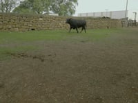 Lote 59