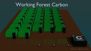 Forest Rotation after Conversersion