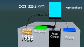 Carbon Pools with Flows LULUFC