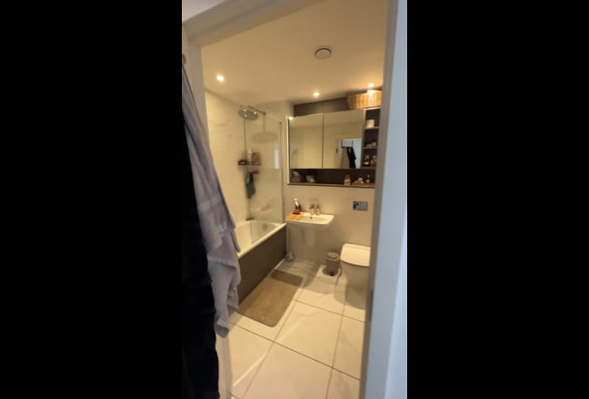 Looking for a flatmate to move into apartment  Main Photo