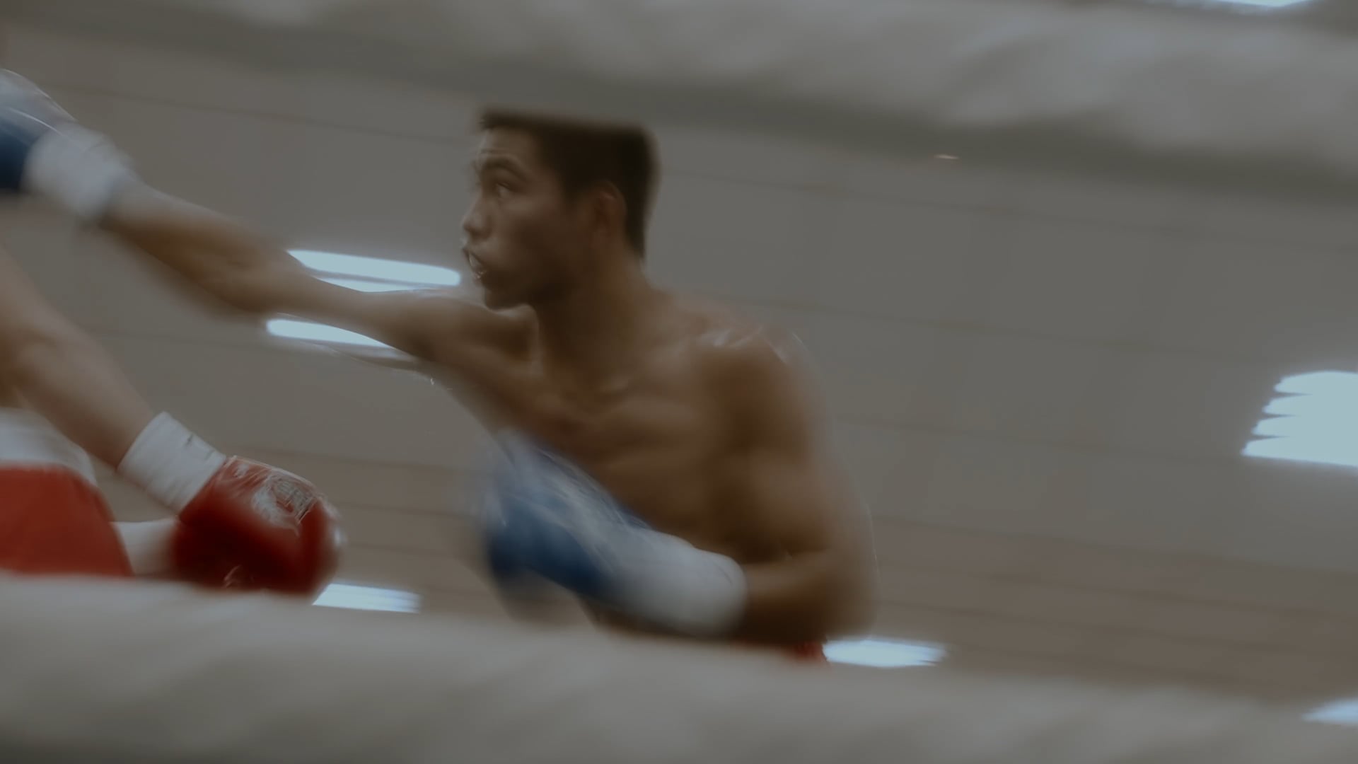 CTBF IRON FIST 全國菁英拳擊聯賽