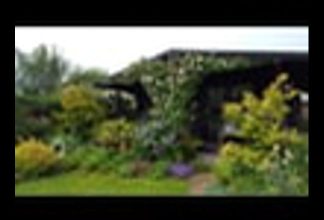 Garden Annex. Quiet, private.  Single occupant  Main Photo