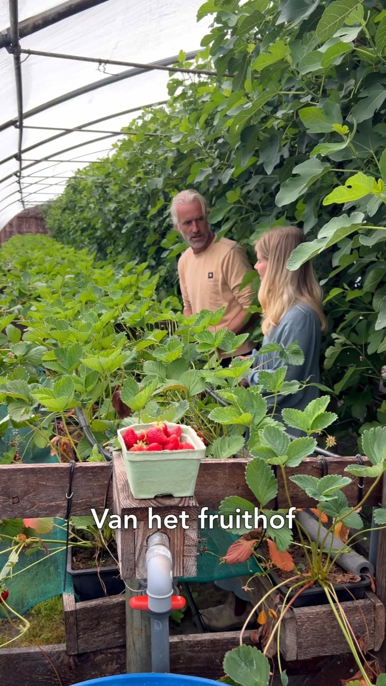 Van Friese bodem #11