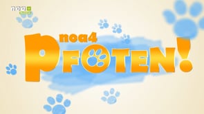 11.06.25 noa4Pfoten Reiterhof