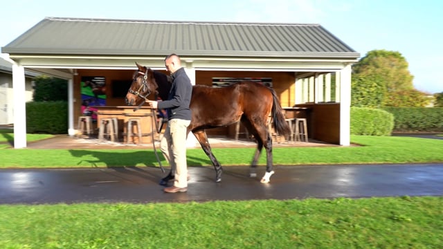 Lot 39