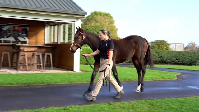 Lot 73