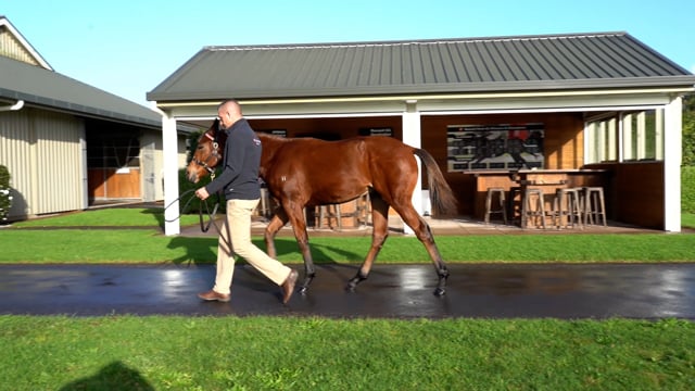 Lot 93