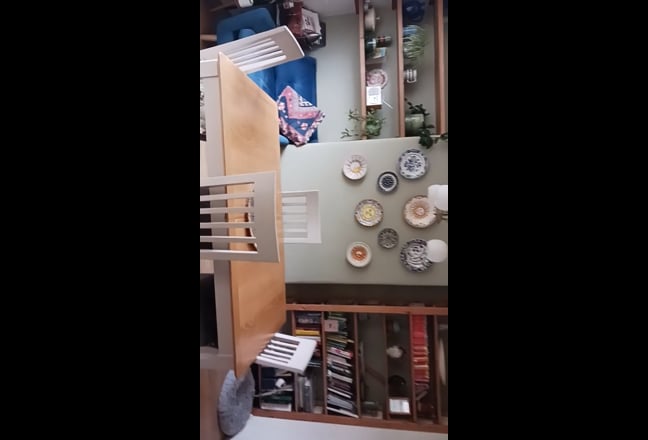 Video 1: