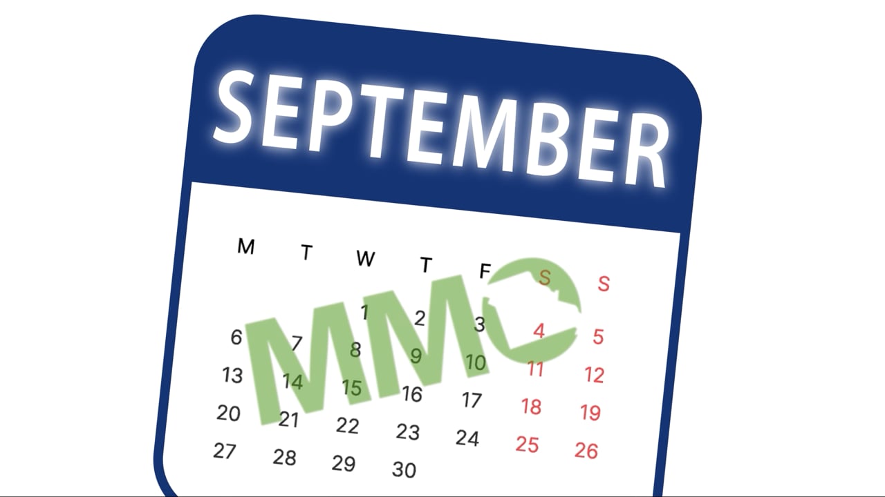 Getting Started Guide - MMO (2025)