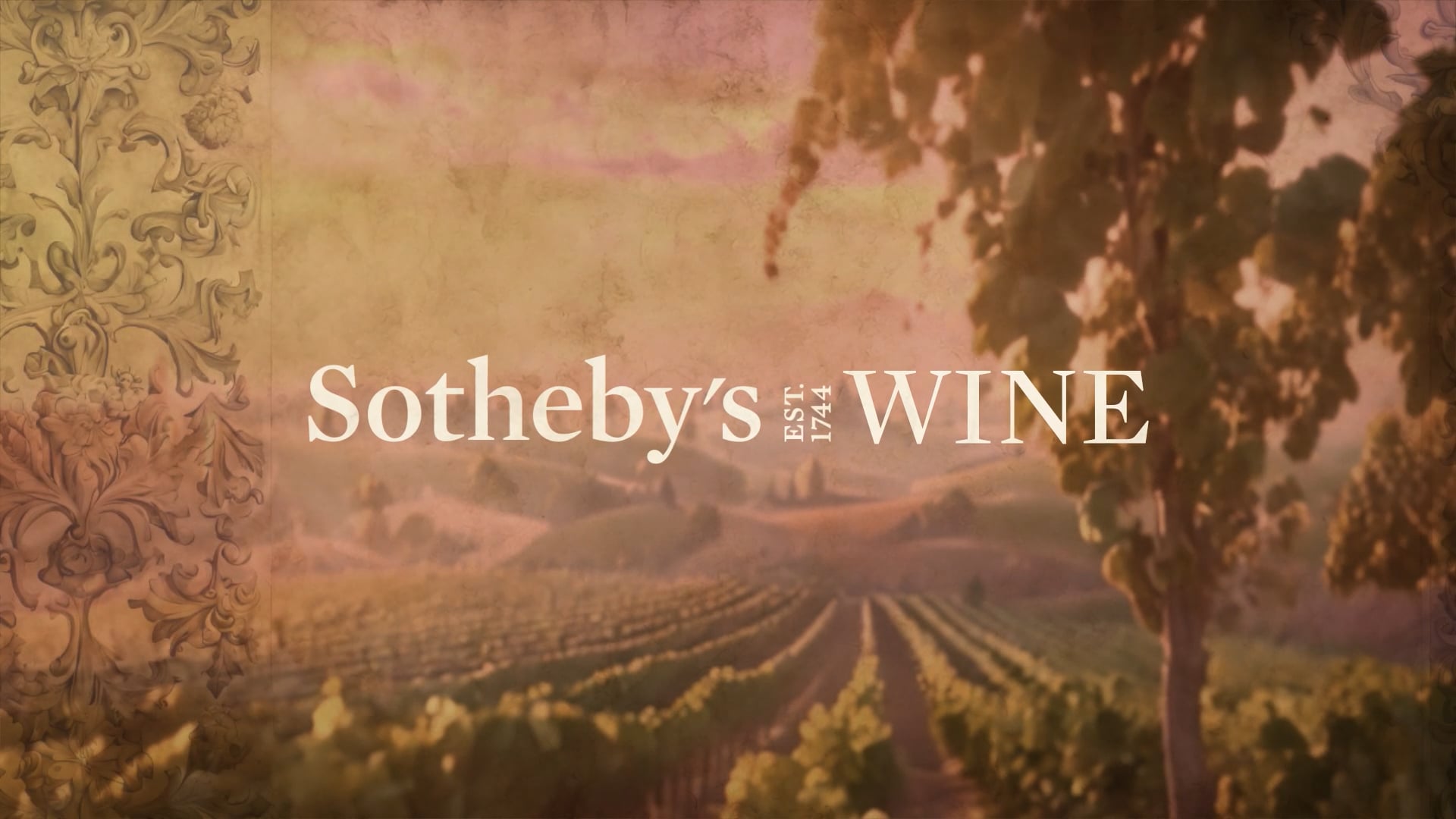 Sothebys Wine