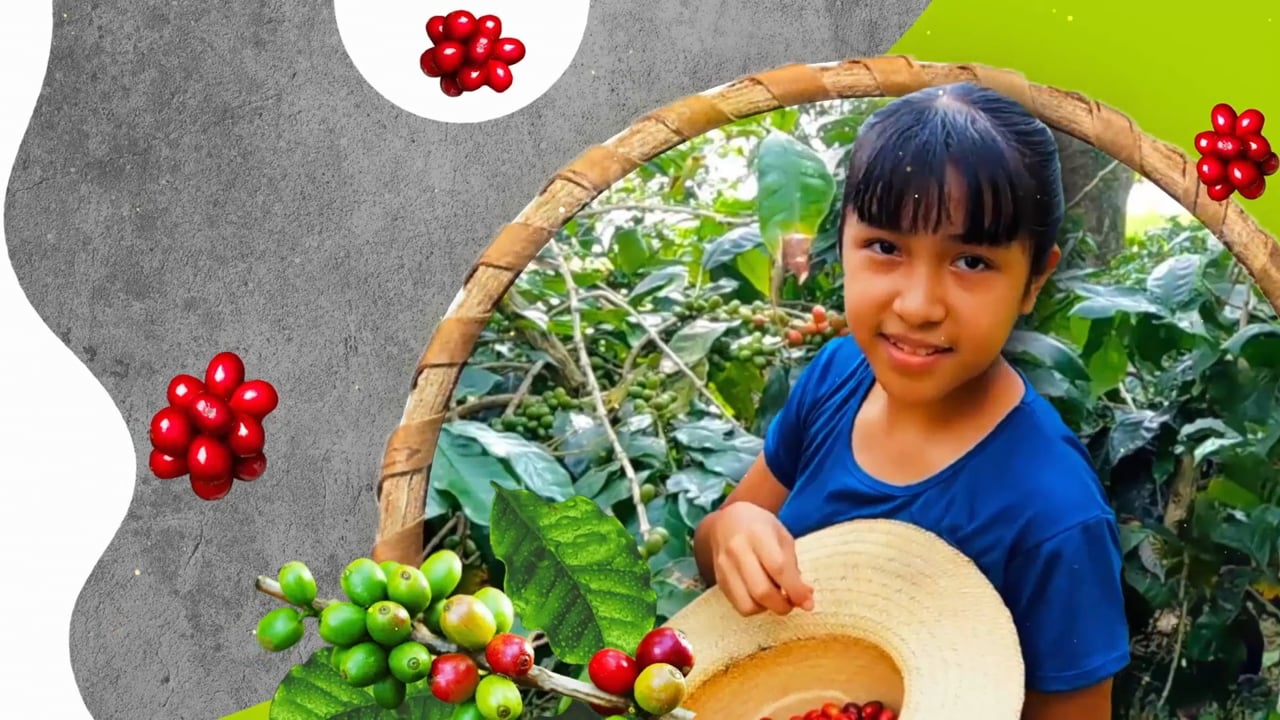 Mercado Agroecológico Coatl 2