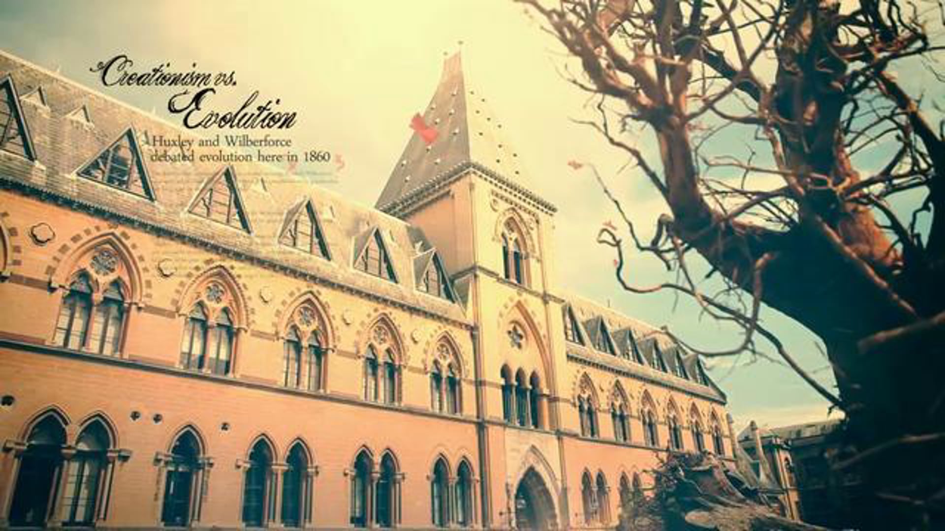TEDx | Event Promo