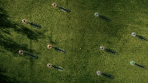 Maruti Suzuki - Shachi’s Cut