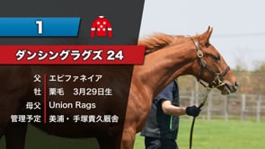 動画サムネイル