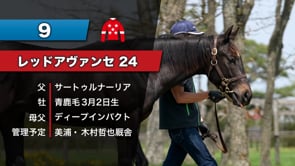動画サムネイル