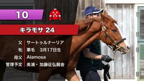 動画サムネイル