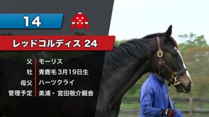 動画サムネイル