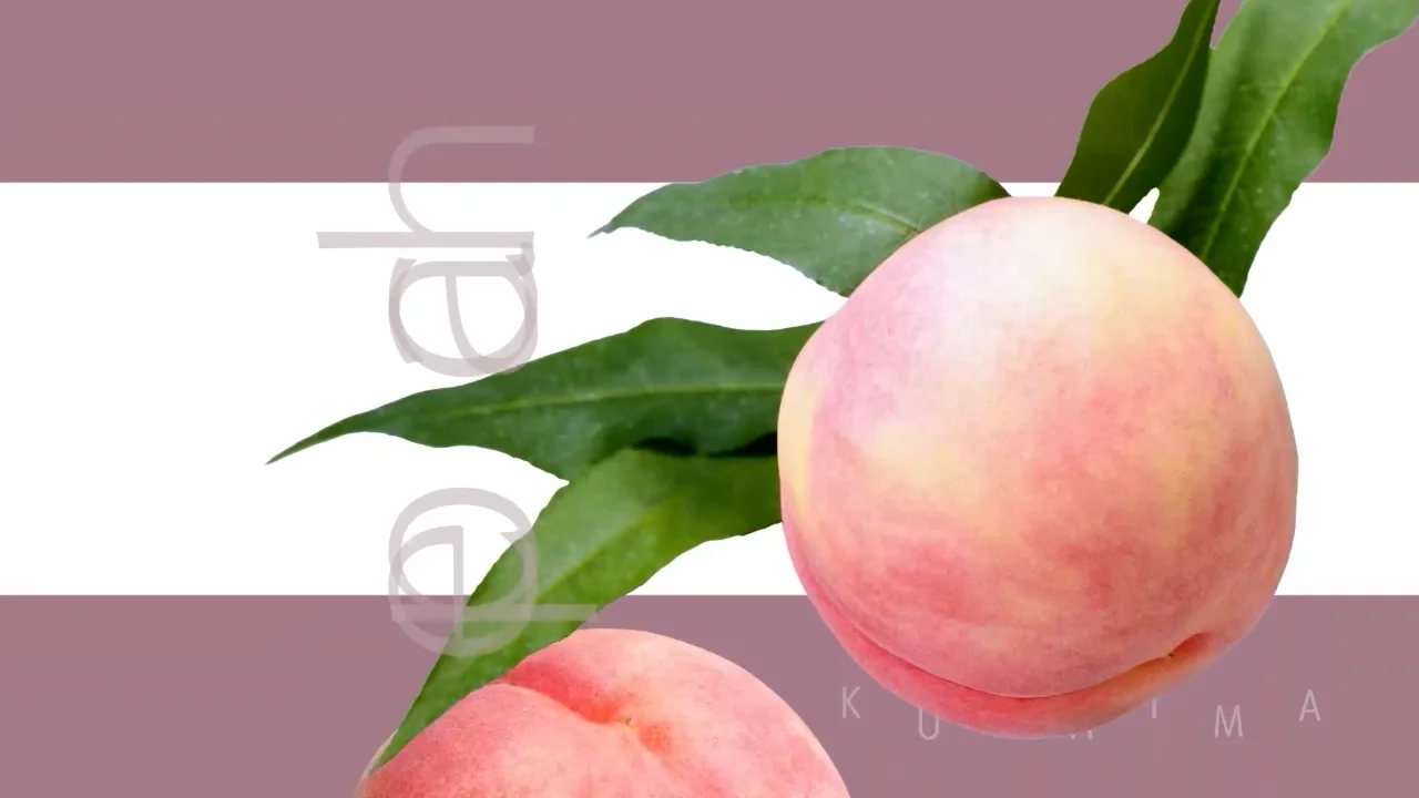 12枚箱入り】桃笑（ももさく）® | FLEURAGE online shop