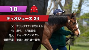 動画サムネイル