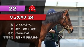 動画サムネイル