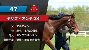 動画サムネイル