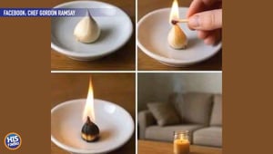 Burning Garlic As An Air Purifier