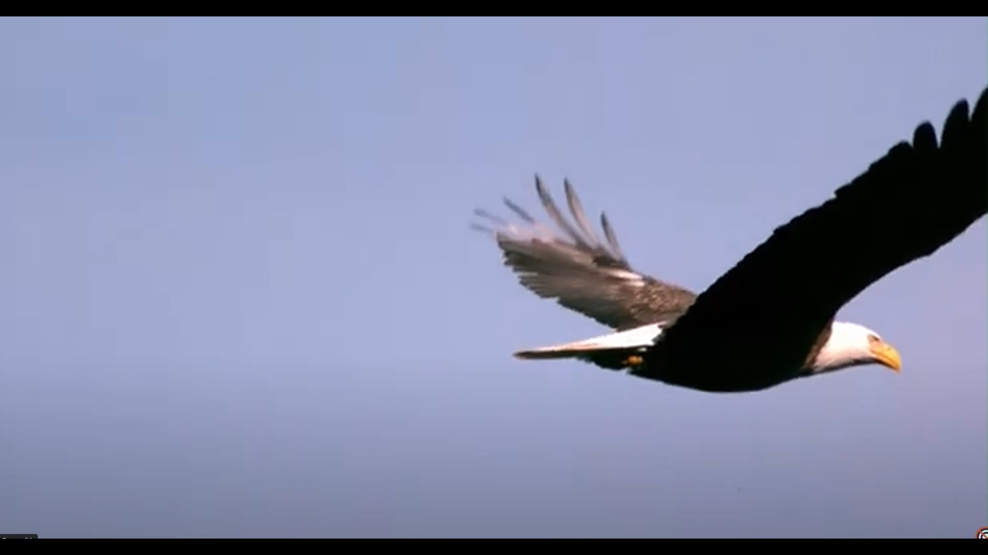 https://i.vimeocdn.com/video/2026368547-d4763a9403610f084f0e99a4cad34468170776ee281063a46dc440bb87fe7d89-d