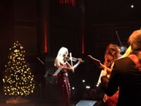 Dallas String Quartet Live Performance Highlight
