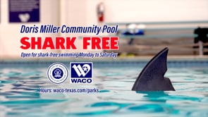 Doris Miller Community Pool - Shark Free!