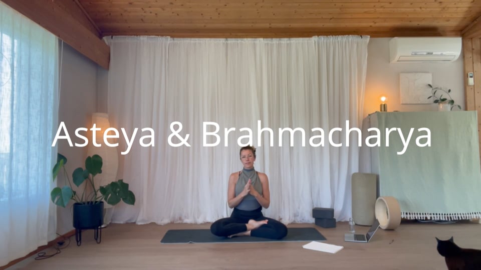 Video 3 Yang Yin og Intro til Yogafilosofi