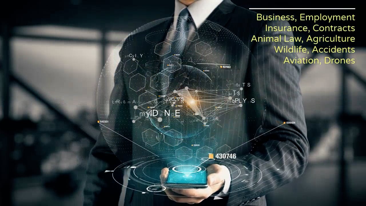 https://i.vimeocdn.com/video/2026570005-a1ad0b9d08259b55ff1244436d2d7d2bea03c345975b6f2555e56b42a0776bc5-d