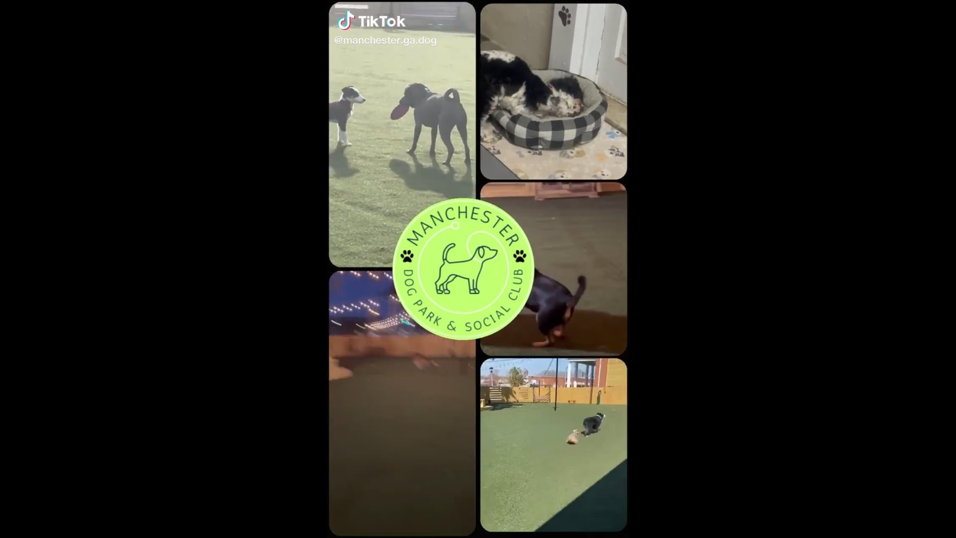 contact-us-manchester-dog-park-social-club-manchester-georgia