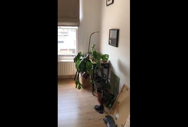 Clean modern flat in Brockley Main Photo