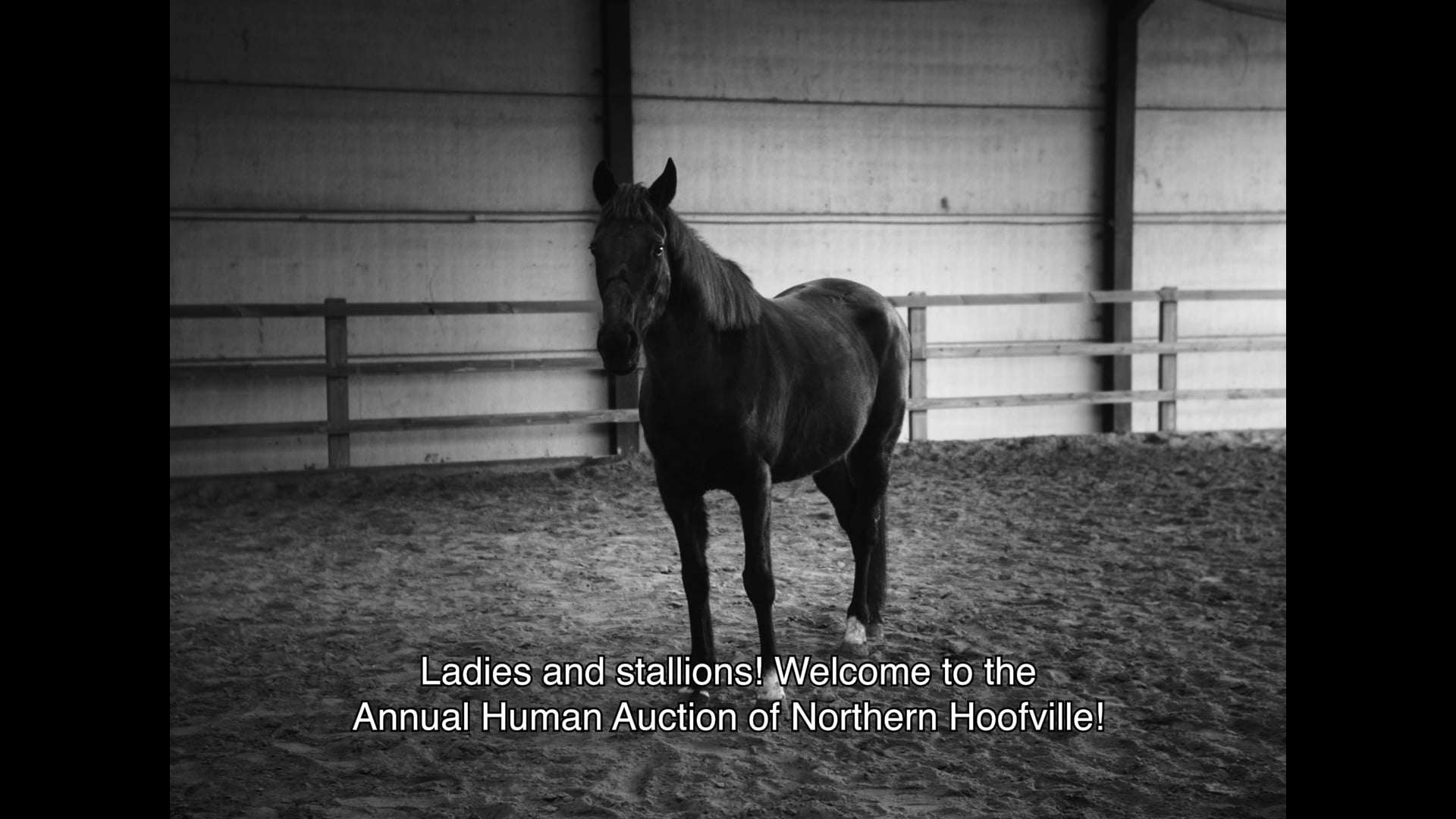 PICKLES - Rubber Boots (Official Video)