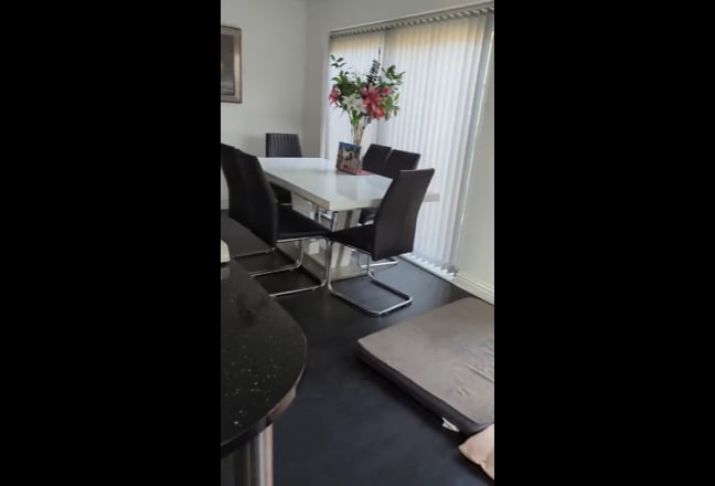 Double room in house with one female and two dogs Main Photo