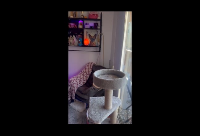 Large Unfurnished Room + Private En Suite Bath Main Photo