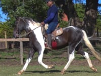Lote 02
