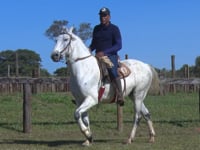 Lote 03