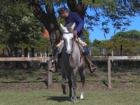 Lote 04