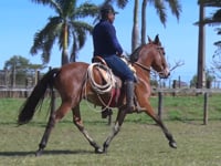 Lote 05