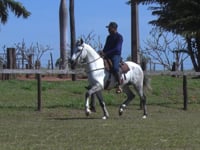 Lote 06