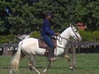 Lote 08